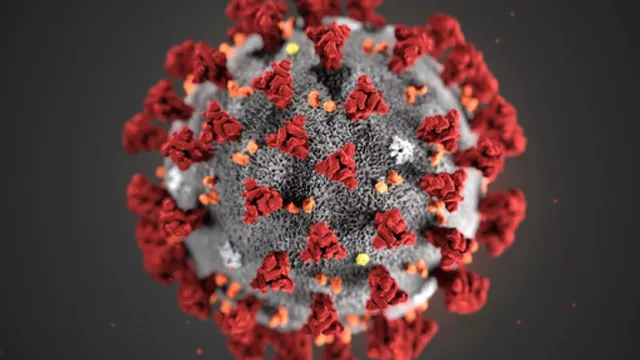 Virus: 90శాతం మంది భారతీయుల్లో ఆ వైరస్.. కనీసం దాని గురించి తెలియని వాళ్లే సుమారు 56.6% మంది..!