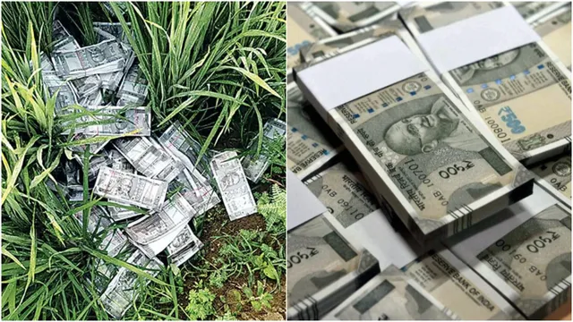 Nalgonda: పంటపోలాల్లో నోట్ల కట్టల కలకలం.. బ్యాంక్ పేరు చూసి కంగుతిన్న పోలీసులు!