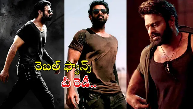 Salaar Re-Release: కాటేరమ్మ కొడుకు వచ్చేస్తున్నాడు.. 'సలార్' రీ- రిలీజ్ ఫిక్స్