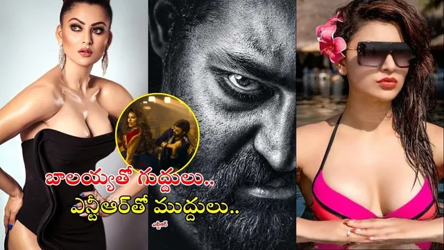 NTR 31 Updates: జాక్ పాట్ కొట్టేసిన బాలయ్య బ్యూటీ.. ఎన్టీఆర్‌తో దబిడి దిబిడే..