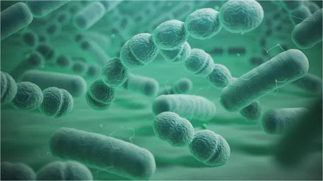 Good Bacteria: ఈ పండు కడుపులో మంచి బ్యాక్టీరియాని పెంచుతుంది