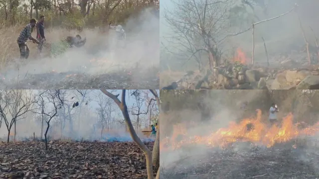 Fire Accident: అమ్రాబాద్ అడవిలో భారీ అగ్ని ప్రమాదం.. నల్లమలలోకి ఎంట్రీ!