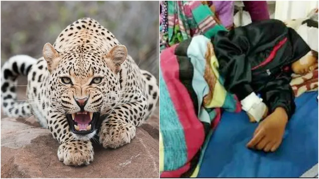 Tiger Attack: అర్ధరాత్రి ఇంట్లోకి చొరబడిన పులి.. తల్లికూతురి ప్రాణాలు కాపాడిన పెంపుడు కుక్క!