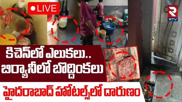 Hyderabad Hotels: ఆ ఫేమస్ హోటళ్లలో బొద్దింకలు, ఎలుకలు