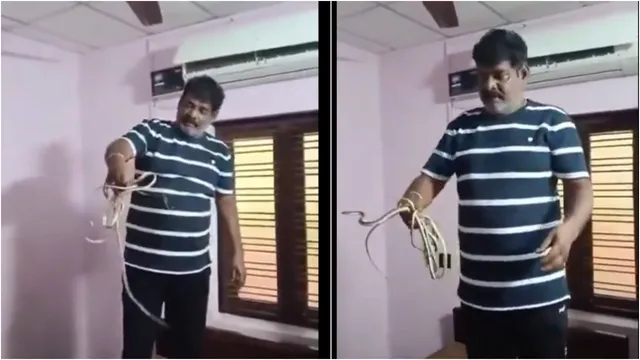 Viral Video: ఏసీలో కుప్పలు కుప్పలుగా పాములు.. మీ ఏసీలో కూడా ఇలానే ఉండొచ్చు