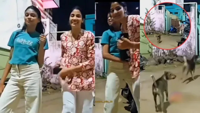 Dog Viral Video: అర్థరాత్రి అమ్మాయిల రీల్స్.. వెంటాడి వేటాడిన డాగ్స్ - వీడియో చూశారా?