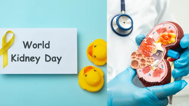 World Kidney Day 2025: ఈ ఐదుగురికి కిడ్నీ వ్యాధుల ప్రమాదం ఎక్కువ! అందులో మీరూ ఉన్నారా
