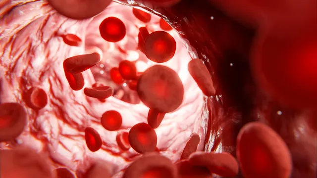 Cholesterol: ఇవి తింటే కొండంత కొవ్వు అయినా కొవ్వొత్తిలా కరిగిపోద్ది