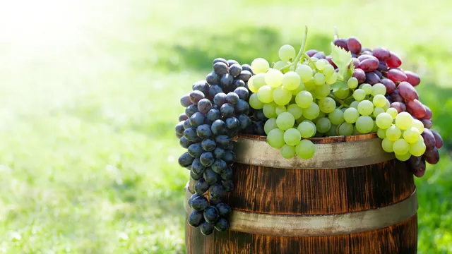 Black And Green Grapes: నల్ల ద్రాక్ష, పచ్చని ద్రాక్షలో ఏది మంచిది.. ఏది ఆరోగ్యానికి ఉపయోగకరం?