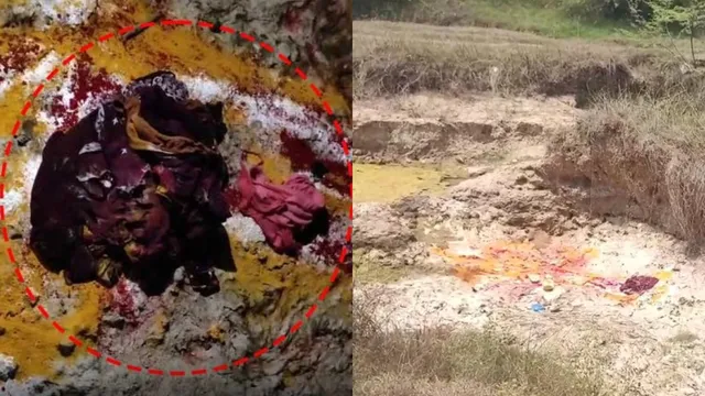 TG Crime: యువతి 'లో' దుస్తులతో క్షుద్రపూజలు.. బ్రా, డ్రాయర్‌లో అది చుట్టి!