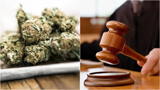 Ganja: గంజాయి బ్యాచ్‌కు బిగ్ షాక్.. తాగినా, అమ్మినా పదేళ్ల జైలు శిక్ష, లక్ష జరిమానా!