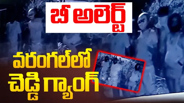 TG News: వరంగల్‌లో భయం భయం.. చెడ్డీ గ్యాంగ్‌ హల్‌చల్