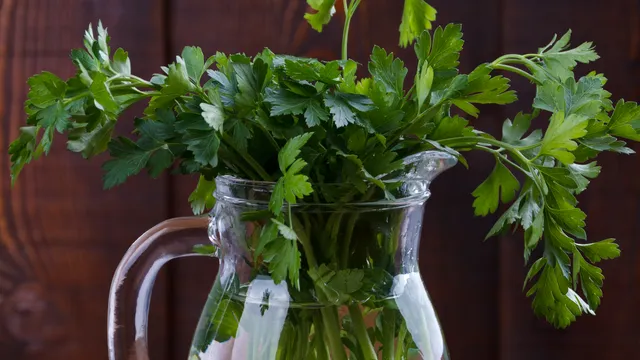Coriander Water: రాత్రి పడుకునే ముందు కొత్తమీర నీళ్లు తాగితే ప్రయోజనాలు