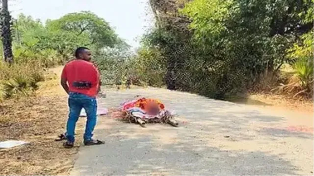 Honey Bees Attack: చావుకు వెళ్తే చచ్చేంత పనైంది.. శవాన్ని నడిరోడ్డుపైనే వదిలేసి పరుగో పరుగు!
