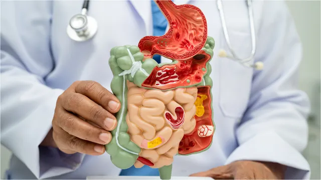 Digestive: జీర్ణ సమస్యలకు ప్రధాన కారణాలు ఇవే