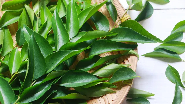 Curry Leaves: ఖాళీ కడుపుతో కరివేపాకు.. ఆ 5 వ్యాధులు ఫసక్.. తప్పక తెలుసుకోండి!