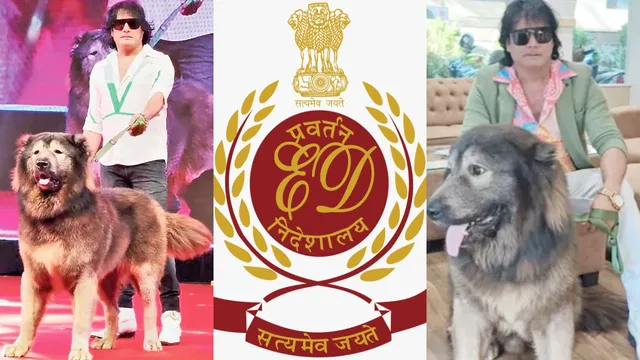 Dog Issue: హెచ్చులకుపోయి ఉచ్చులో పడ్డాడు.. రూ.50 కోట్ల కుక్క యజమానికి ఈడీ షాక్!