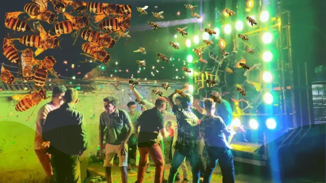 Honey Bees Attack: పెళ్లికెళ్తే చచ్చేంతపనైంది.. తేనెటీగల దాడిలో స్పాట్‌లోనే 50 మంది!