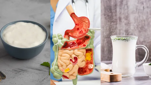 Digestion: పెరుగు వర్సెస్‌ మజ్జిగ.. జీర్ణక్రియకు ఏది మంచిది?
