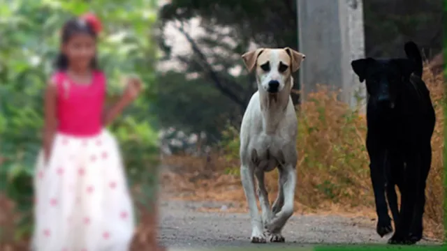 Kerala : రేబిస్ కలకలం..  ఏడేళ్ల బాలిక మృతి