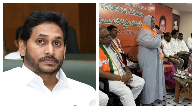 YSRCP: వైసీపీకి బిగ్‌ షాక్‌..బీజేపీలో చేరిన శాసనమండలి డిప్యూటీ చైర్మన్ జకియా ఖానం