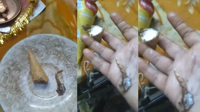 Lizard Tail In Ice Cream: ఐస్ క్రీంలో బల్లి తోక.. కట్ చేస్తే రూ.50,000 ఫైన్ - వీడియో చూశారంటే?