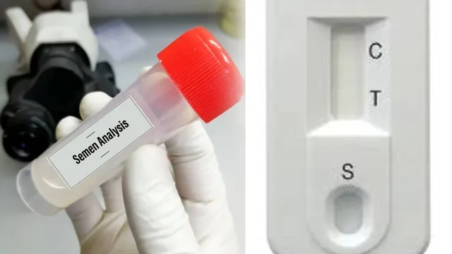 Sperm Count Test : కేవలం 5 నిమిషాల్లో ఇంట్లోనే మీ స్పెర్మ్ కౌంట్⁬ను చెక్ చేసుకోండి!