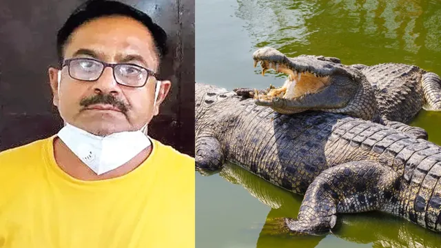 Crime: మనుషులను చంపి మొసళ్లకు మేత.. 50పైగా హత్యలు చేసిన ఆయుర్వేద వైద్యుడు శర్మ!