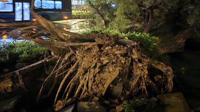 Uttarpradesh Cyclone: యూపీలో తుపాను విధ్వంసం.. 20 మంది మృతి