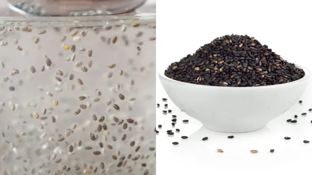 Sabja Seeds Benefits: ఉదయం ఖాళీ కడుపుతో సబ్జా గింజల నీరు తాగండి.. ఈ ప్రయోజనాలు లభిస్తాయి