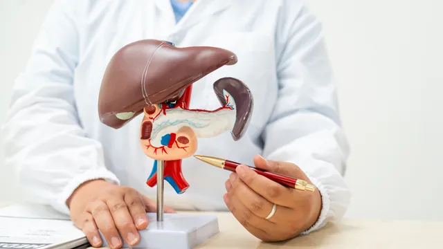 Liver: మద్యం తాగడం అనే పొరపాటు చేయకండి! మీ కాలేయం పాడైపోతుంది.. ఫ్రూఫ్‌ ఇదే!