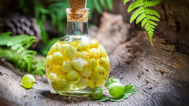 Honey Soaked Amla: తేనెలో నానబెట్టిన ఉసిరి తింటే ఇన్ని అద్భుతమైన ప్రయోజనాలా..!!