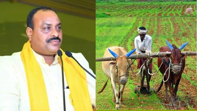 Atchannaidu: ఈ నెలలో రైతుల ఖాతాల్లోకి రూ.7వేలు.. మంత్రి అచ్చెన్నాయుడు గుడ్ న్యూస్