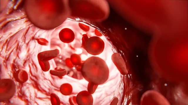 Blood cancer: బ్లడ్ క్యాన్సర్ ప్రాణాంతకం కావచ్చు.. అందుకని ఈ లక్షణాలను విస్మరించకూడదు