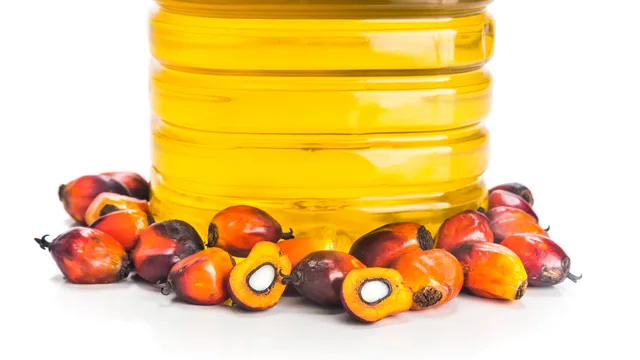 Palm Oil Side Effects: పామాయిల్ వాడటం ప్రమాదకరమా..? కలిగే నష్టాలు, వ్యాధులు ఇవే