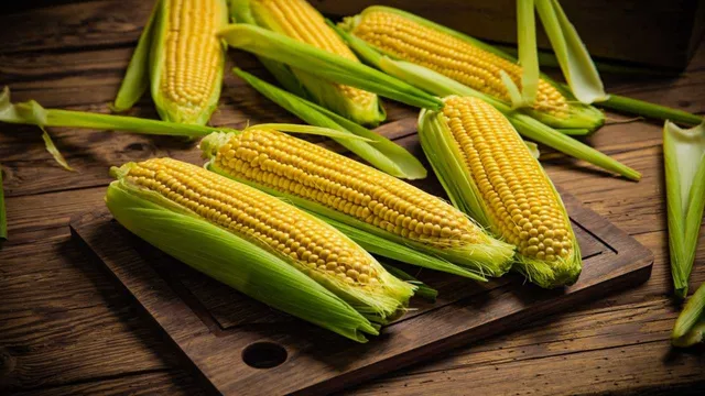 Corn:  వర్షాకాలంలో మొక్కజొన్న ప్రయోజనాలు తెలిస్తే ఆశ్చర్యపోతారు
