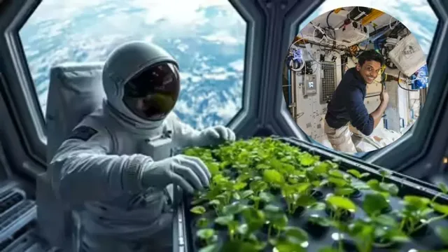 Shubhanshu Shukla: ISSలో రైతుగా మారిన శుభాన్షు శుక్లా.. మట్టి లేకుండా వ్యవసాయమా..?