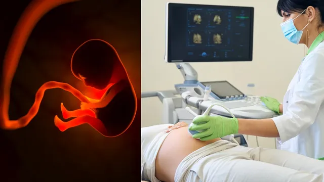 IVF: కేవలం IVF మాత్రమే కాదు.. శారీరకంగా కలవకుండానే సంతానం అందించే బెస్ట్ పద్ధతులు ఇవే!