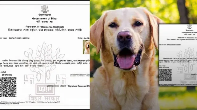 Shocking: కుక్క ఫ్యామిలీకి రెసిడెన్సీ సర్టిఫికెట్‌.. ఎక్కడో తెలిస్తే షాక్!