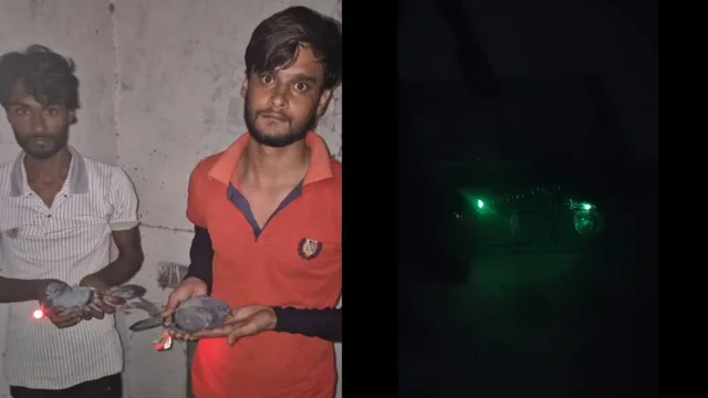 Drone Pigeons: ఊరు మొత్తాన్ని భయపెట్టారు కదరా.. పావురాల కేసు కనిపెట్టిన పోలీసులకు రివార్డ్