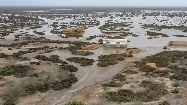 Indus Delta Crisis Pakistan: డేంజర్‌లో పాకిస్తాన్.. సింధూ నది డెల్టాలోకి ఉప్పు నీరు.. ప్రాంతాన్ని వదిలి వెళ్తున్న రైతులు
