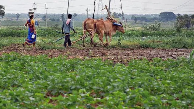 Farmer: 18 ఏళ్లు దాటిన రైతులకు రూ.5 లక్షలు.. 3 రోజులే సమయం