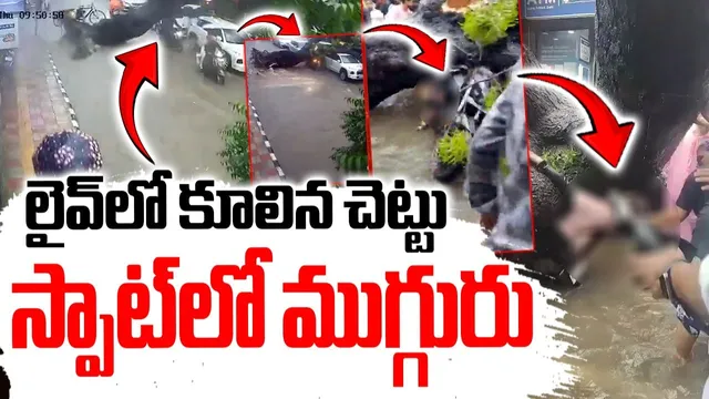 BIG BREAKING: భారీ వర్షాలు.. నడి రోడ్డుపై కూలిన చెట్టు.. స్పాట్లో ముగ్గురు..!