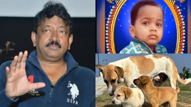 Stray Dog Controversy: డాగ్ లవర్స్‌కు RGV షాకింగ్ VIDEO.. దిమ్మతిరిగే కౌంటర్లు