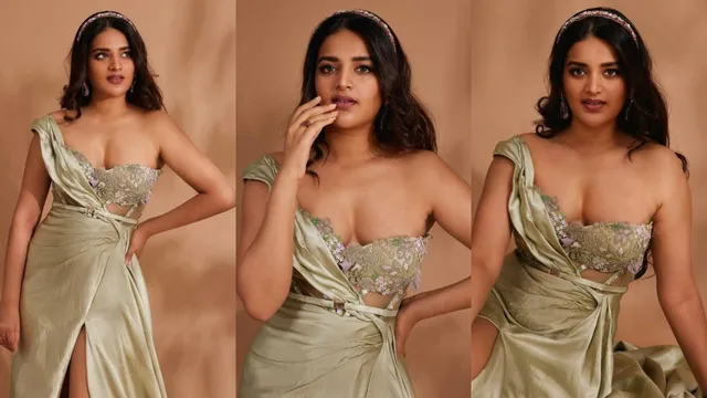 Nidhhi Agerwal: హాట్ హాట్ అందాలతో అలరిస్తోన్న బర్త్‌డే బేబీ.. ఫొటోలు చూశారా?