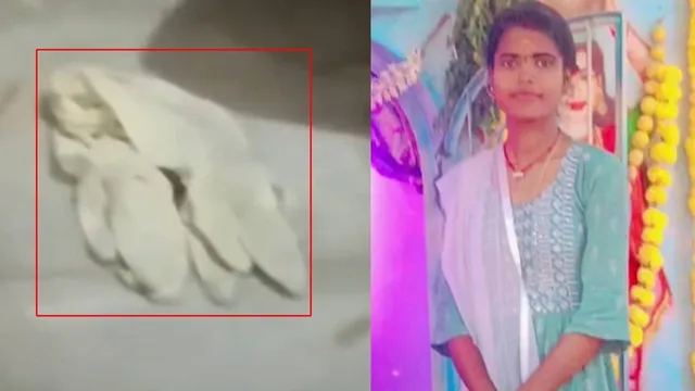 Hyderabad Crime: హైదరాబాద్⁬లో మరో  గురుమూర్తి.. భార్యను ముక్కలు ముక్కలుగా నరికేసి