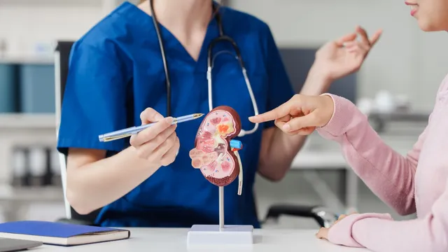 Kidney Failure: ఈ 7 లక్షణాలు కనిపిస్తే మీకు మూత్రపిండాల వ్యాధి ఉన్నట్లే.. తప్పక తెలుసుకోండి!