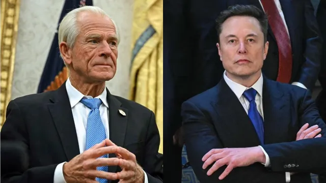 Navrro VS Elon Musk: నవారోకు బిగ్‌ షాక్‌.. కౌంటర్ ఇచ్చిన ఎలాన్‌మస్క్