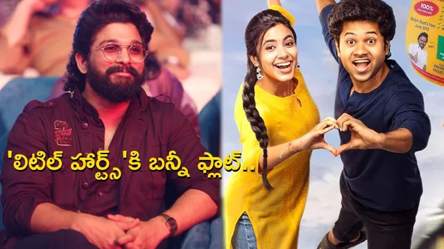 Little Hearts: 'లిటిల్ హార్ట్స్' మౌళికి అల్లు అర్జున్ స్పెషల్ విషెస్.. ఏమన్నారంటే..?