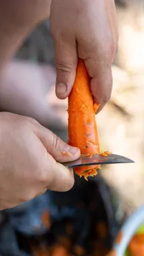 క్యారెట్ తొక్కలతో అద్భుత లాభాలు ఉన్నాయని తెలుసా..?